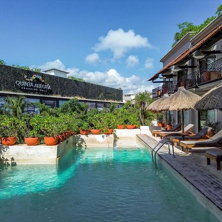 Caribbean Paradise Hotel & Spa - 5Th Avenue Playa del Carmen Exteriér fotografie