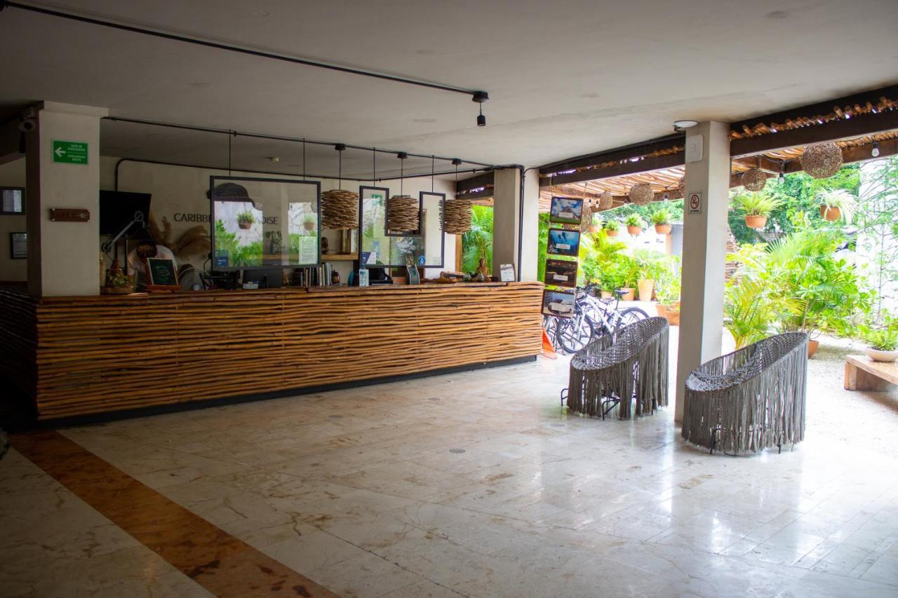 Caribbean Paradise Hotel & Spa - 5Th Avenue Playa del Carmen Exteriér fotografie