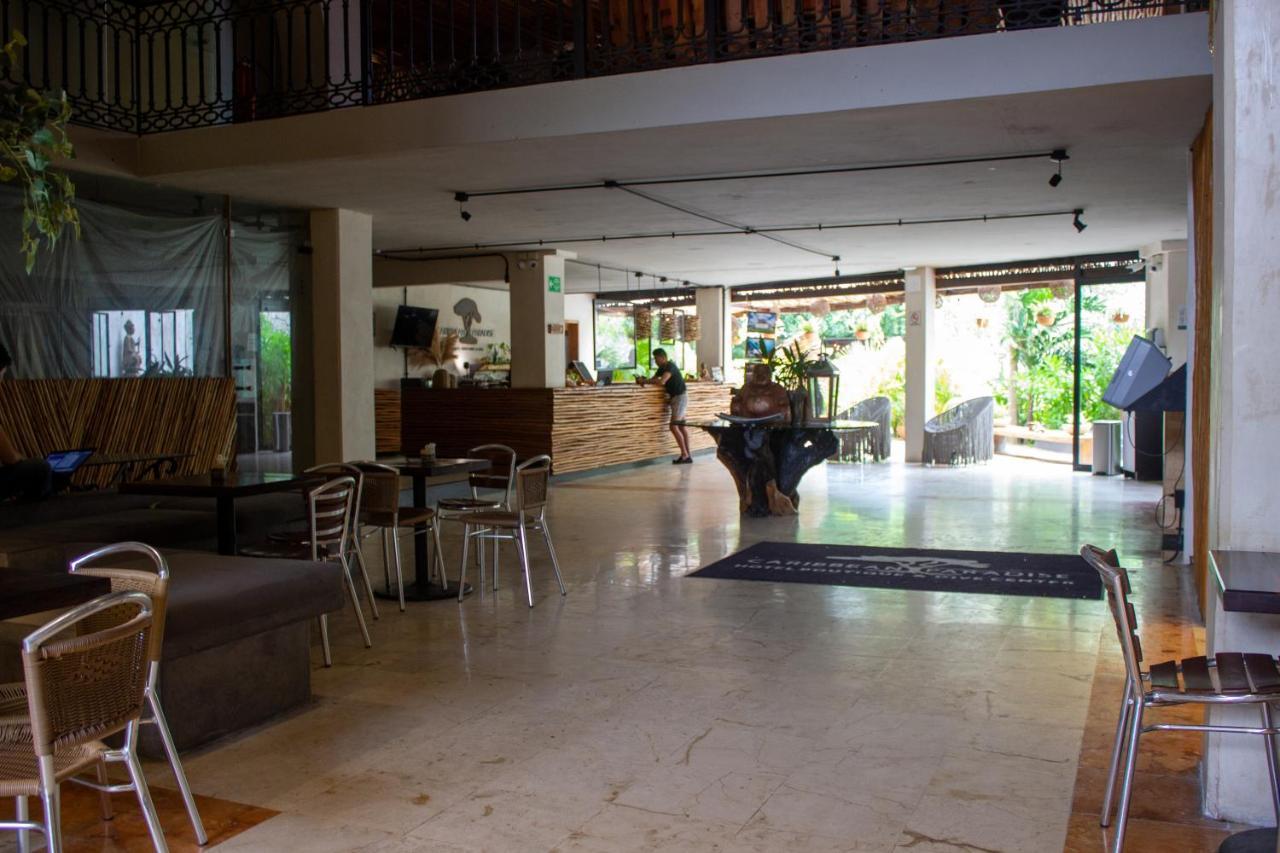 Caribbean Paradise Hotel & Spa - 5Th Avenue Playa del Carmen Exteriér fotografie