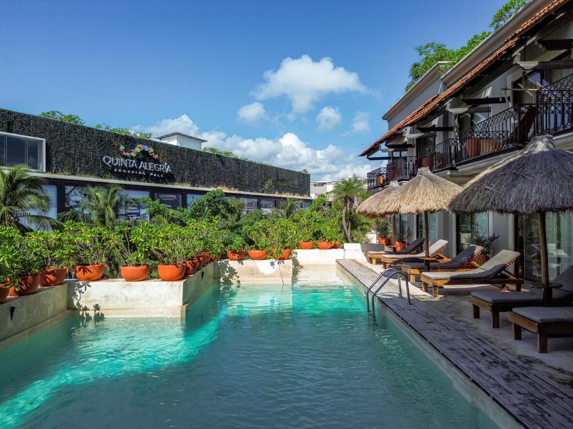 Caribbean Paradise Hotel & Spa - 5Th Avenue Playa del Carmen Exteriér fotografie